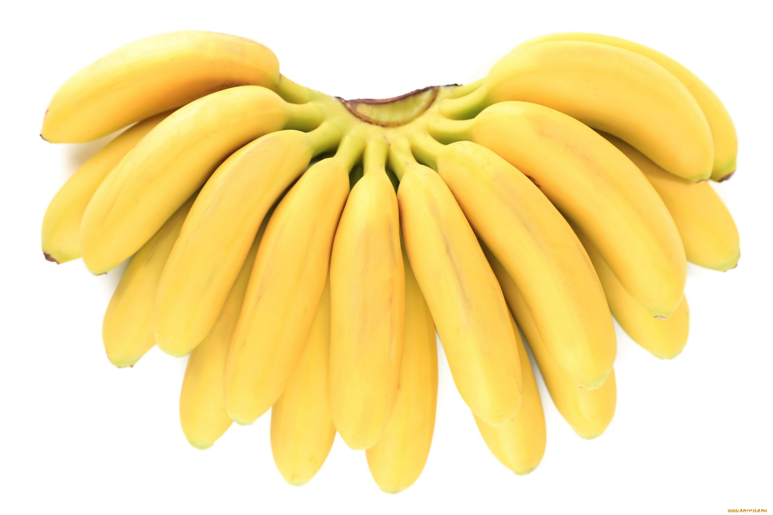 , , , , 